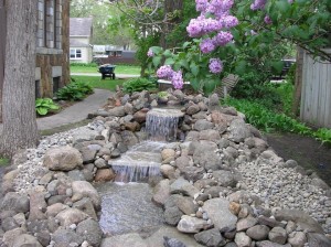 Water Feature
